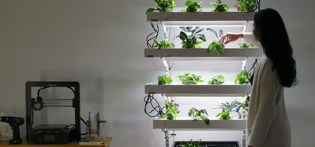 Is there money in hydroponic farming?