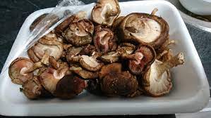 Is it OK to cook mushrooms with brown spots