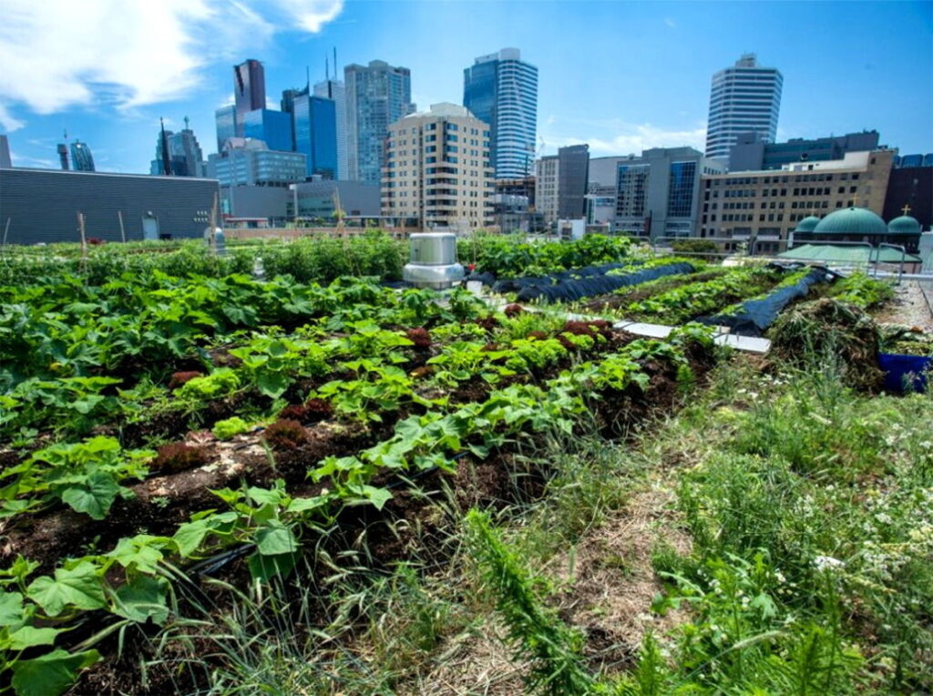 Urban farming policies in the USA, government support for urban agriculture